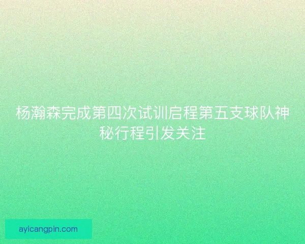 杨瀚森完成第四次试训启程第五支球队神秘行程引发关注