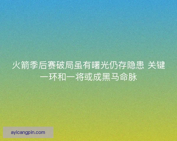 火箭季后赛破局虽有曙光仍存隐患 关键一环和一将或成黑马命脉