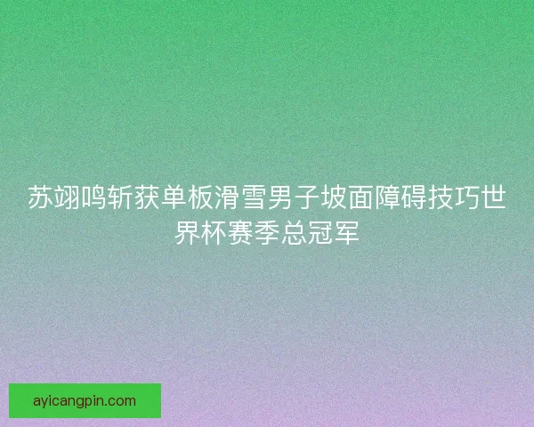 苏翊鸣斩获单板滑雪男子坡面障碍技巧世界杯赛季总冠军