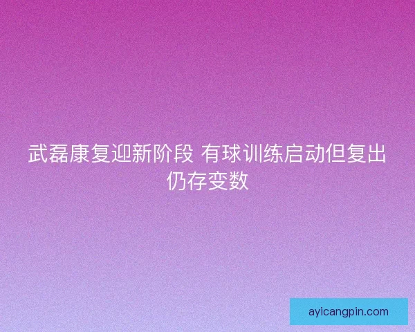 武磊康复迎新阶段 有球训练启动但复出仍存变数